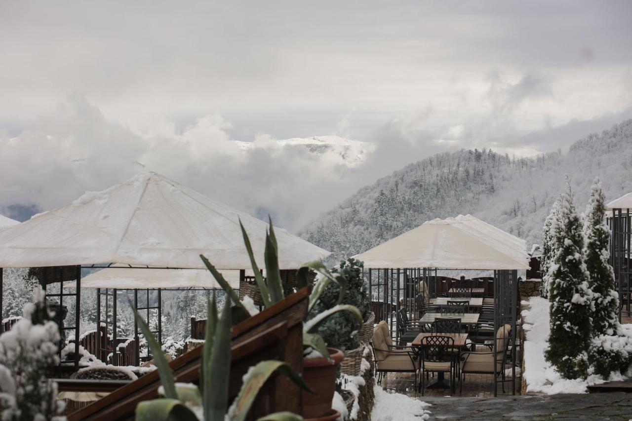 Alpine Castle Hotel Дилижан Экстерьер фото
